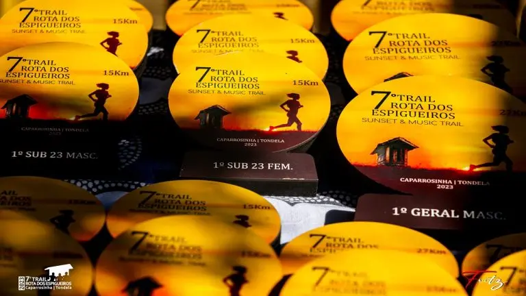 DICAS ECO-FRIENDLY PARA CUIDAR DAS MEDALHAS E TROFÉUS